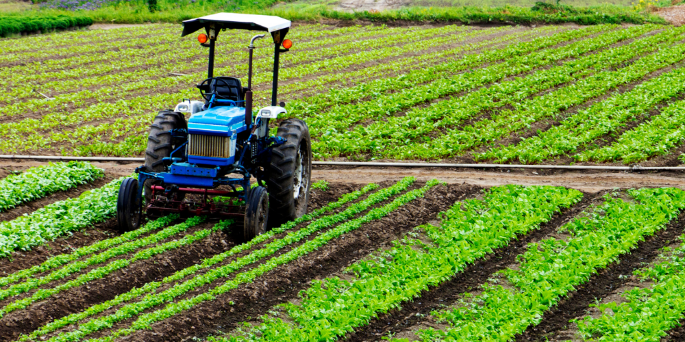 AGRICULTURA