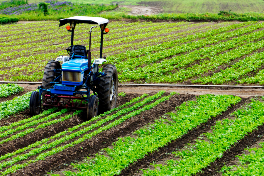 AGRICULTURA